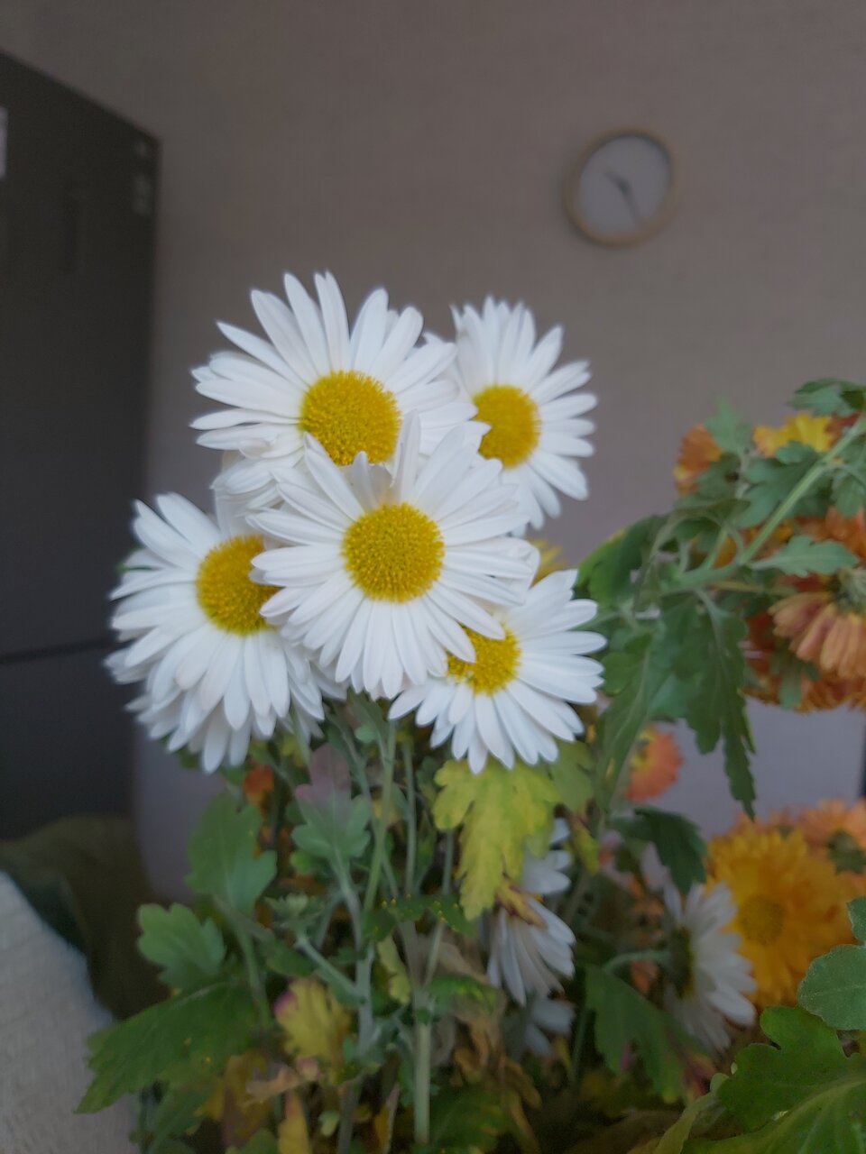 Гостиница Жара Пятигорск