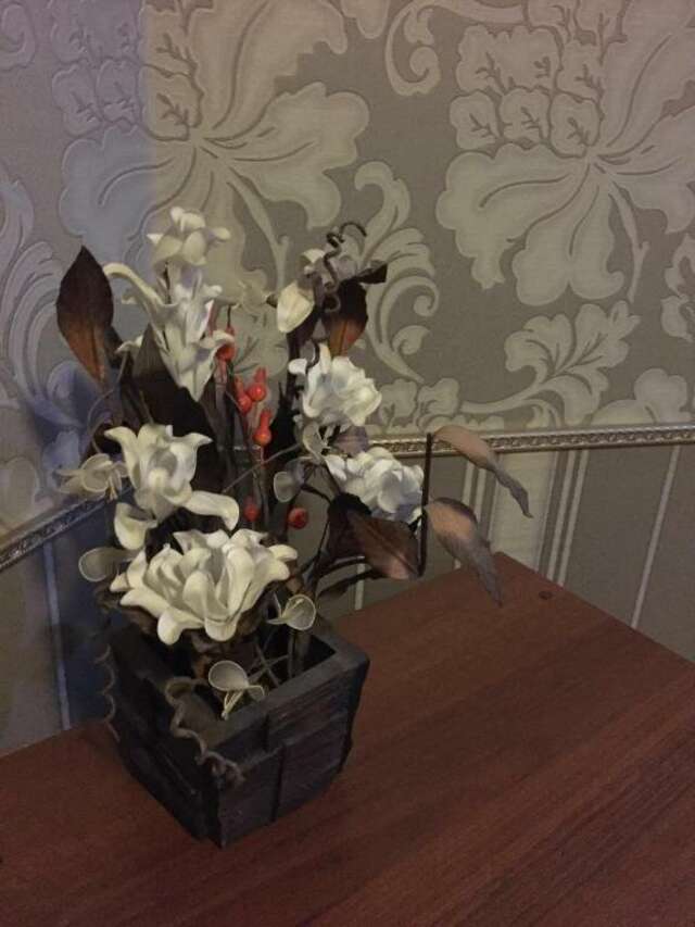 Гостиница Жара Пятигорск-63