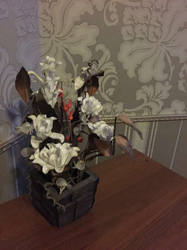 Гостиница Жара Пятигорск-11