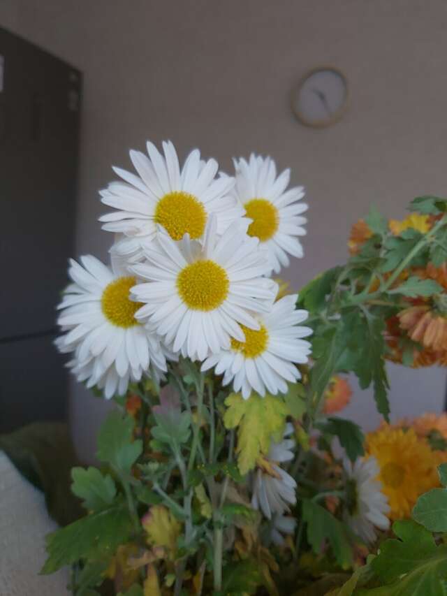 Гостиница Жара Пятигорск-68